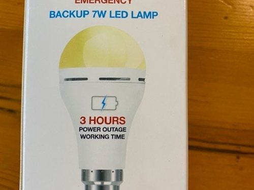 Battery back-up light bulb